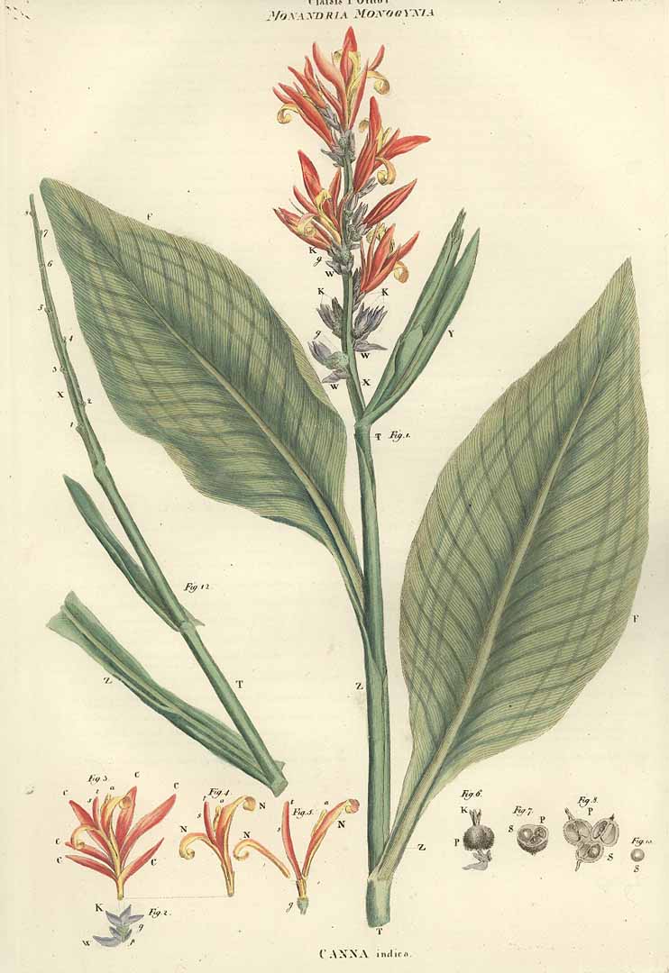 no HD illustration available (3)