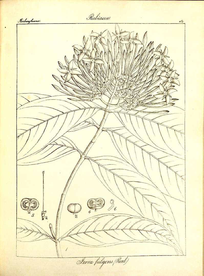 no HD illustration available (3)