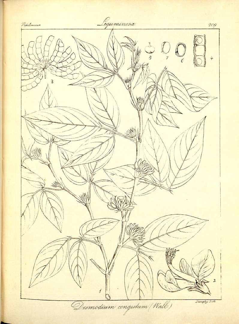 no HD illustration available (3)