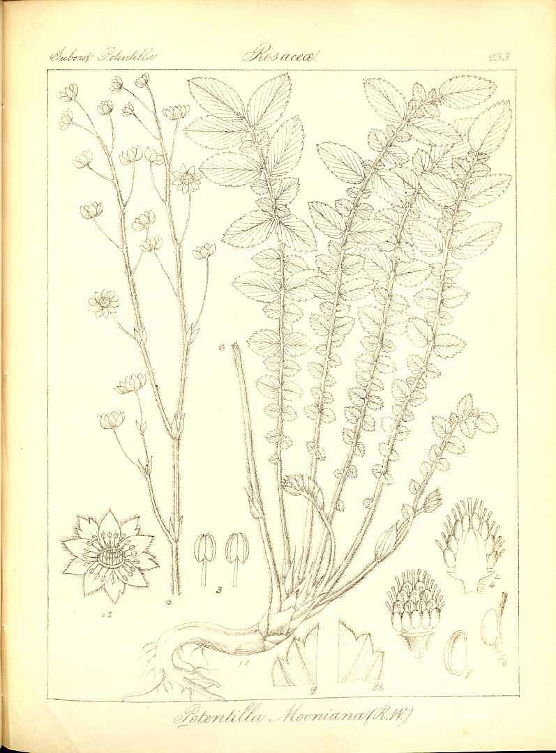 no HD illustration available (3)