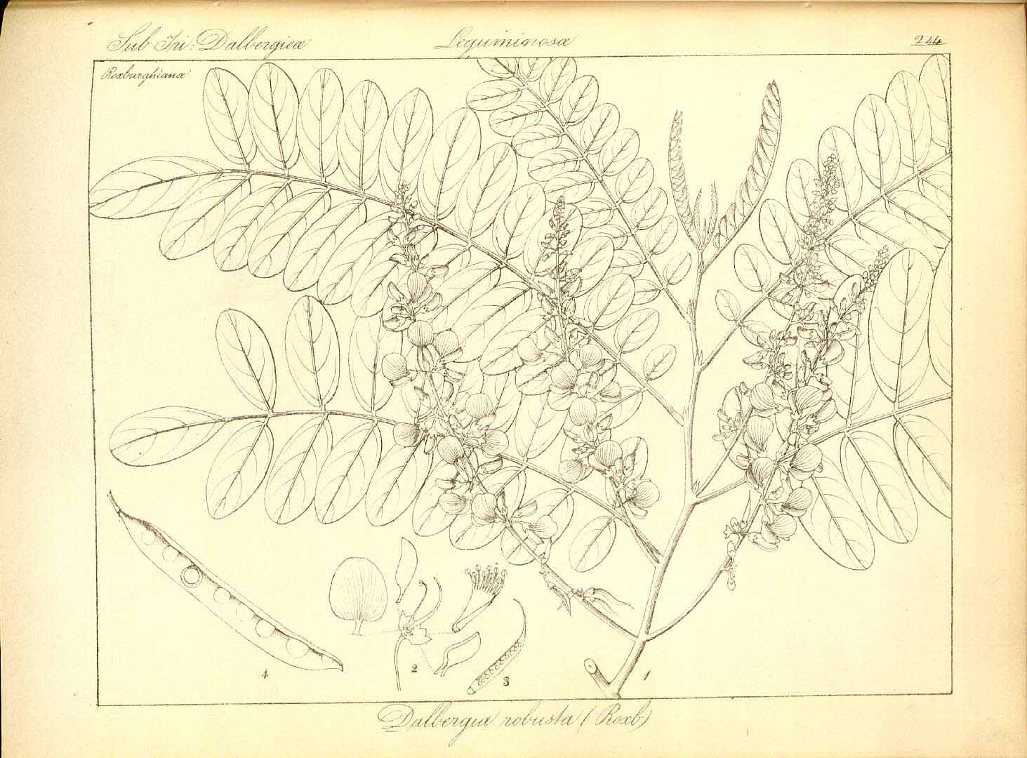 no HD illustration available (3)