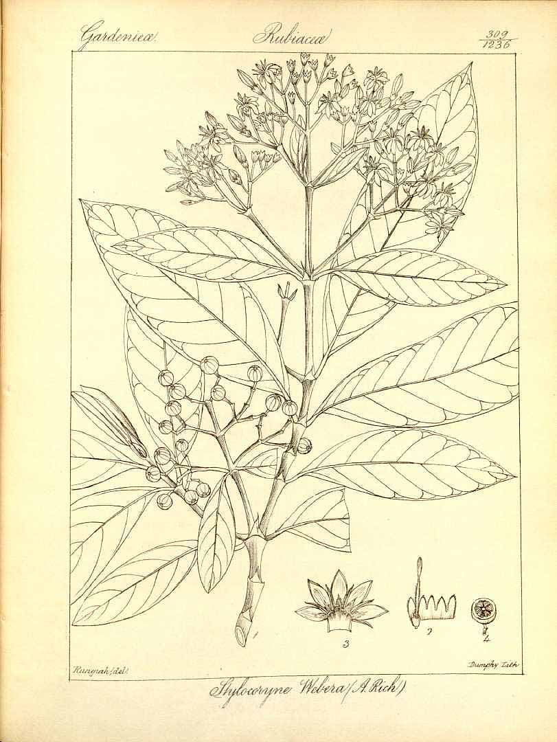 no HD illustration available (3)