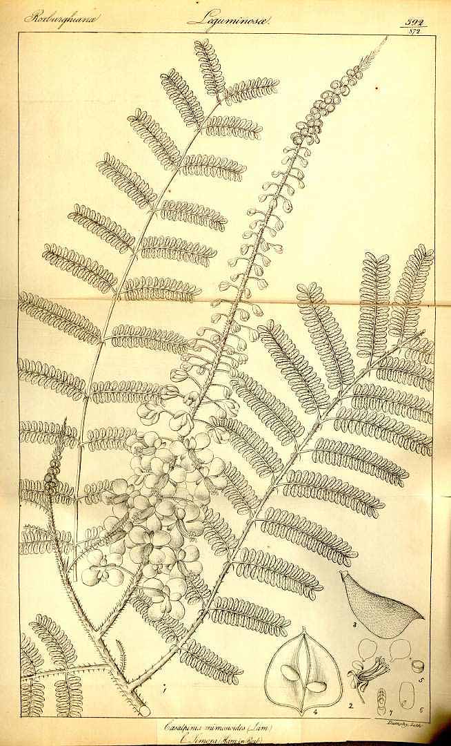 no HD illustration available (3)