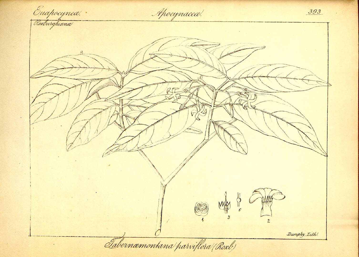 no HD illustration available (3)