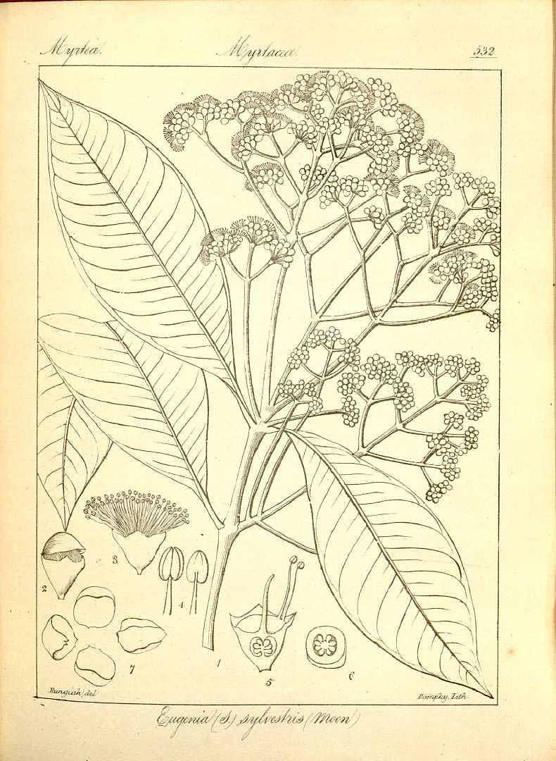 no HD illustration available (3)