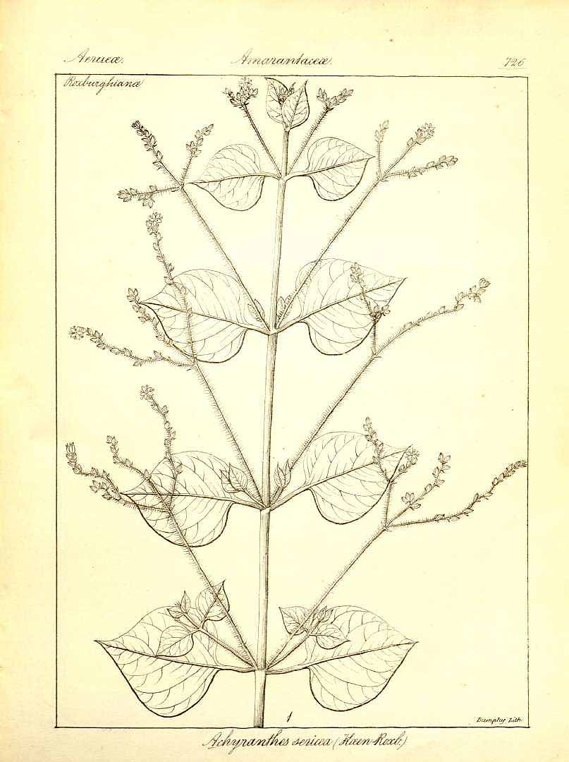 no HD illustration available (3)