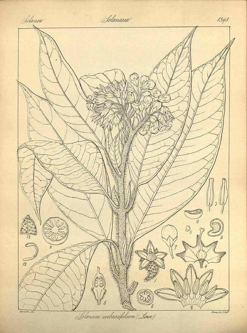 no HD illustration available (3)