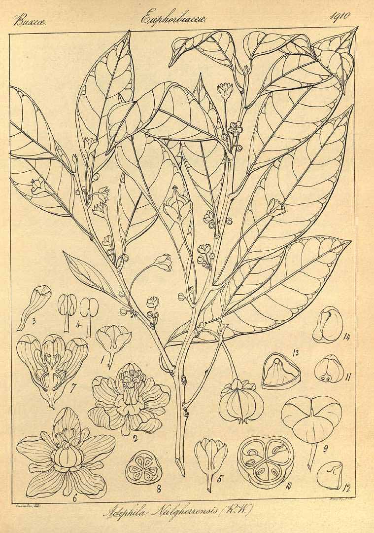 no HD illustration available (3)