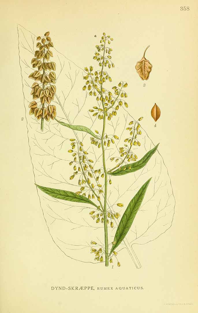 no HD illustration available (3)