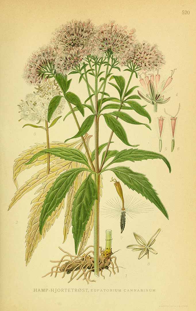 no HD illustration available (3)