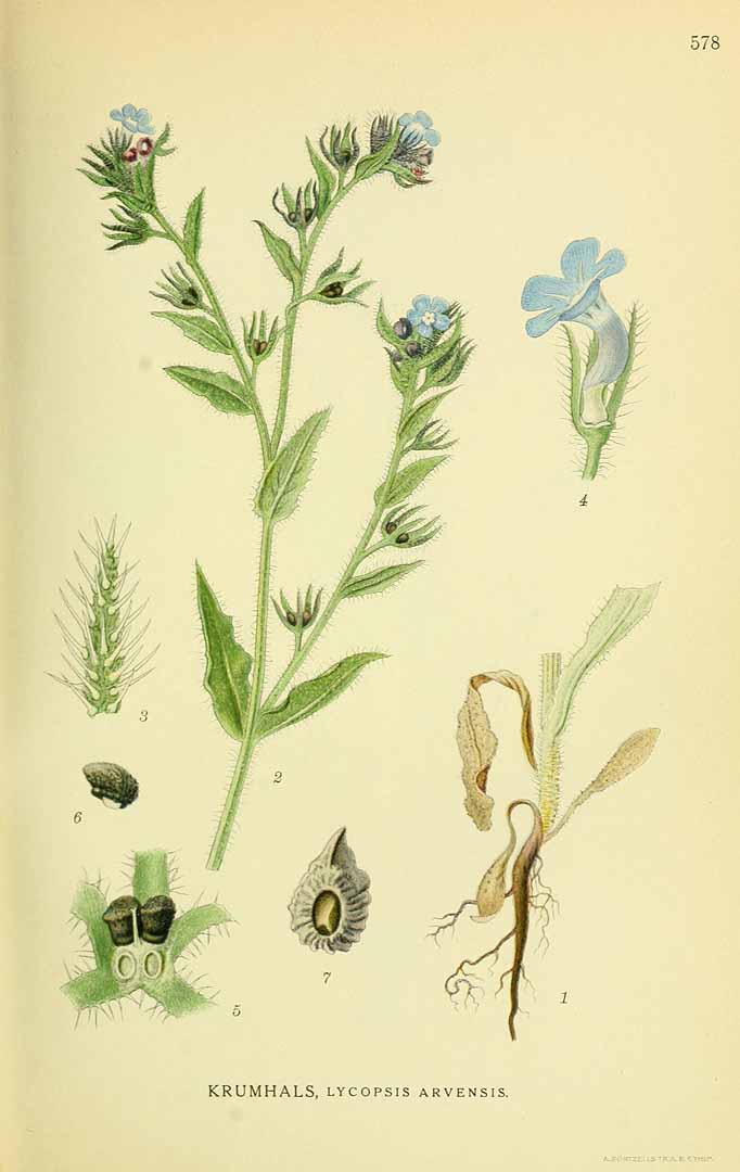 no HD illustration available (3)