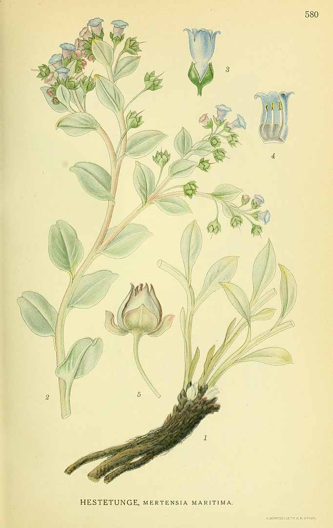 no HD illustration available (3)