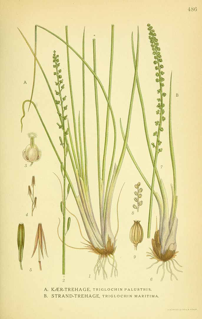 no HD illustration available (3)