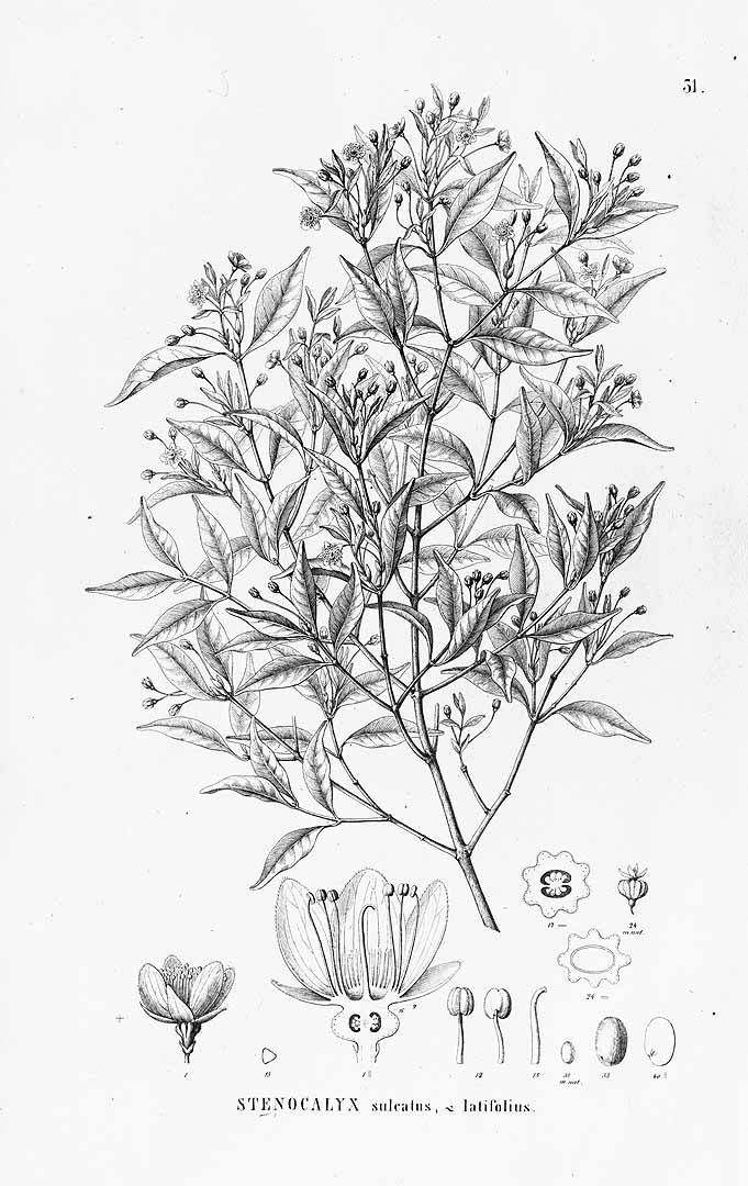 no HD illustration available (3)