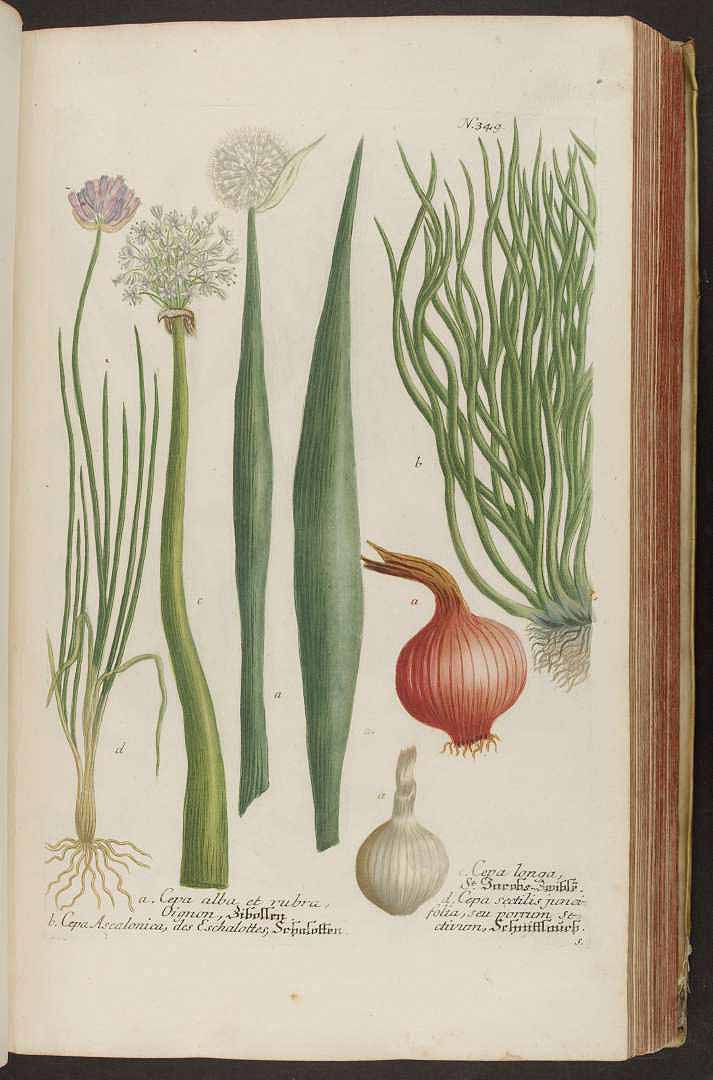 no HD illustration available (3)