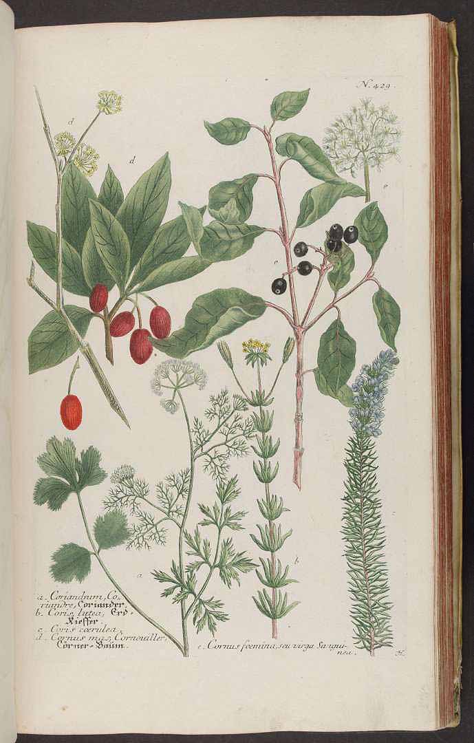 no HD illustration available (3)