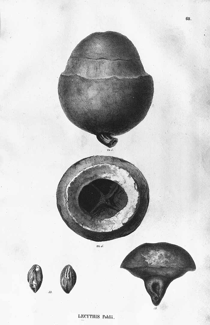 no HD illustration available (3)