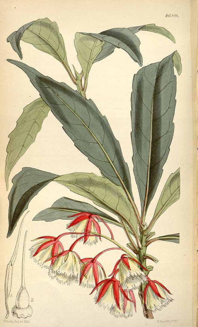 no HD illustration available (3)