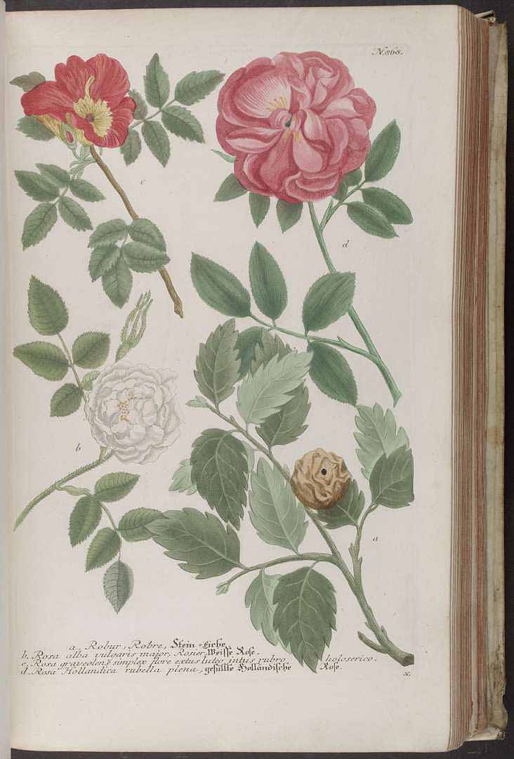 no HD illustration available (3)