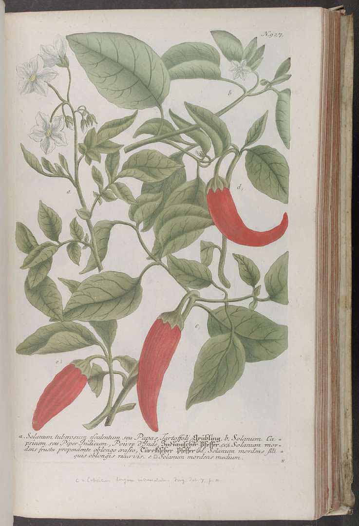 no HD illustration available (3)