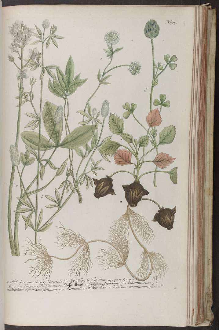 no HD illustration available (3)