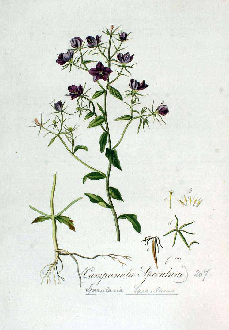 no HD illustration available (3)