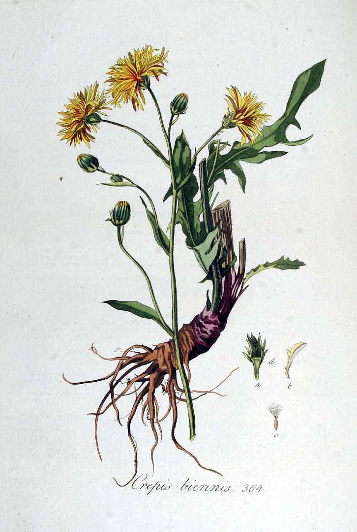 no HD illustration available (3)