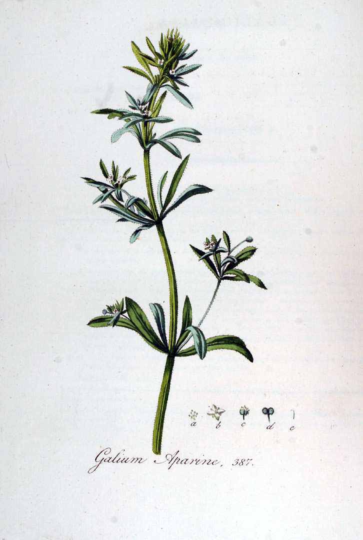 no HD illustration available (3)