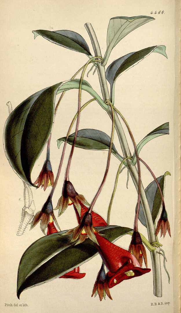 no HD illustration available (3)