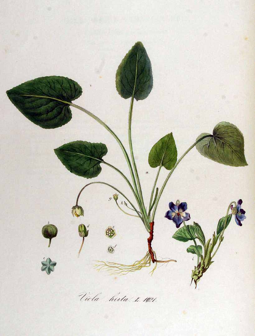 no HD illustration available (3)