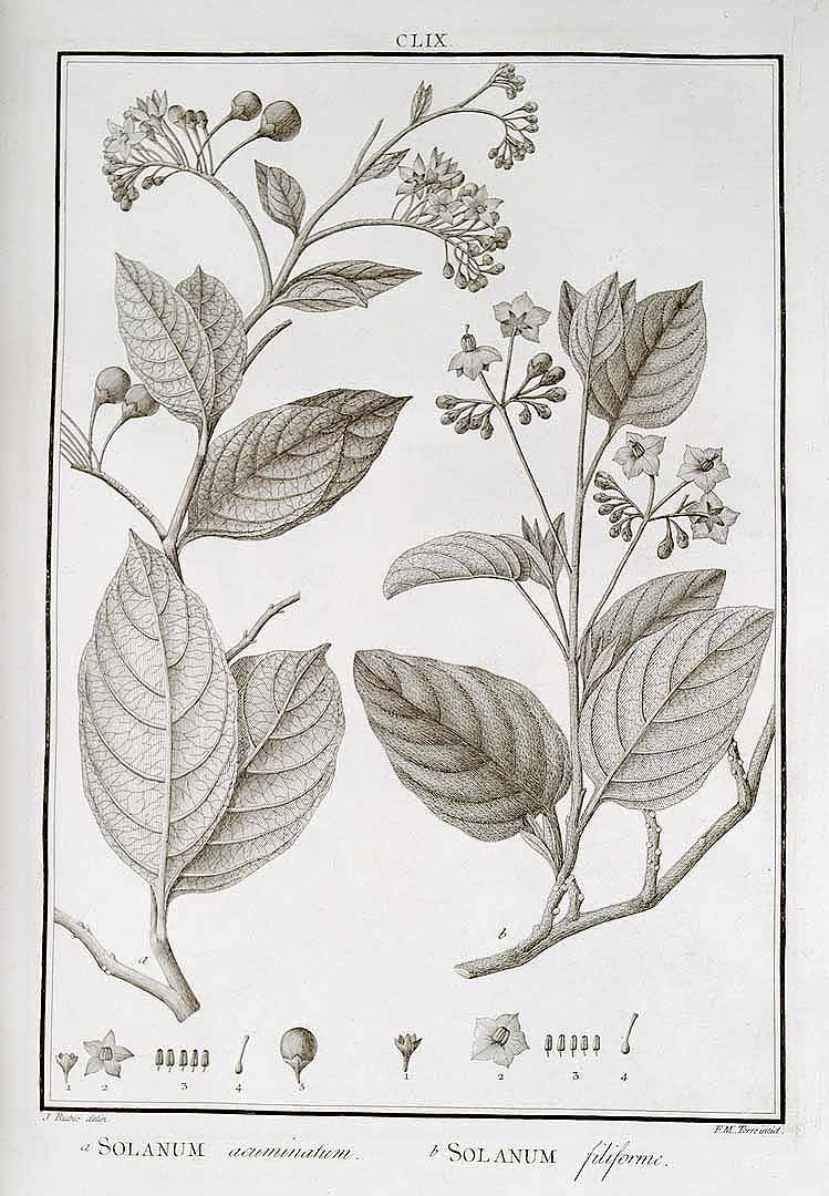 no HD illustration available (3)