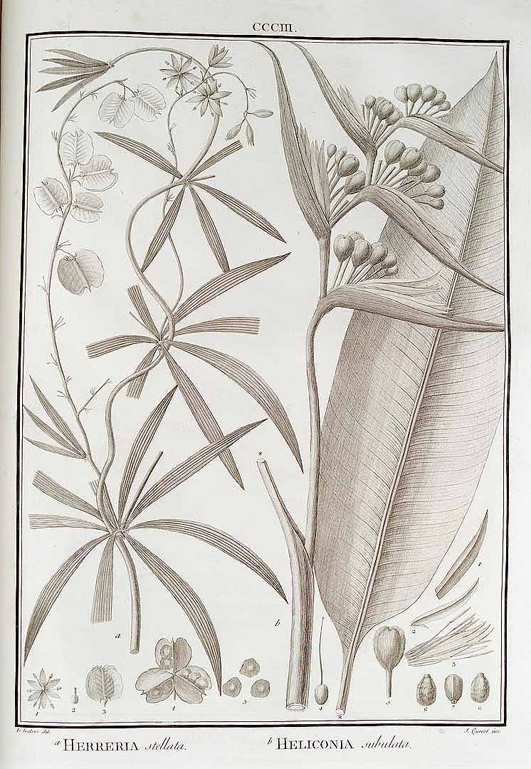 no HD illustration available (3)