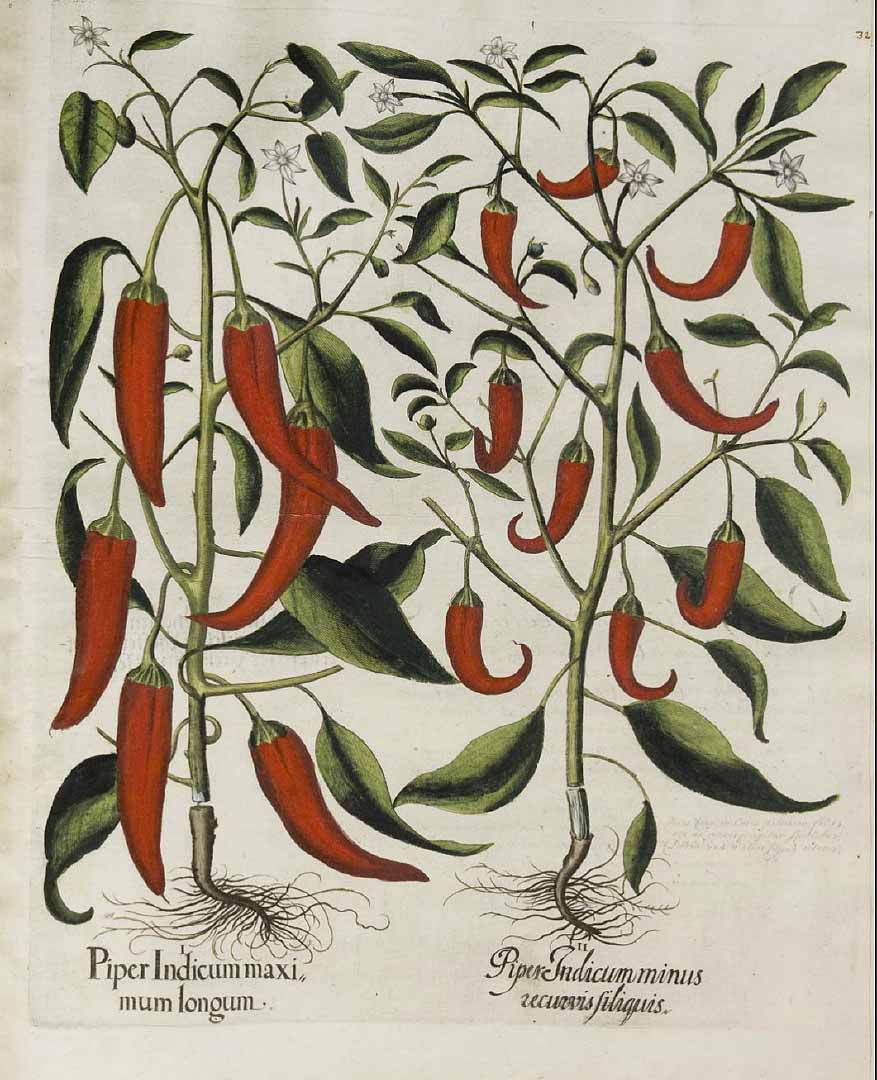 no HD illustration available (3)