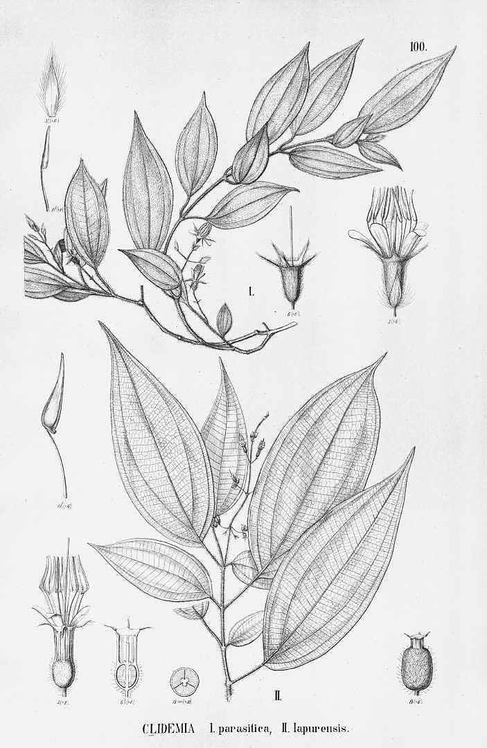 no HD illustration available (3)