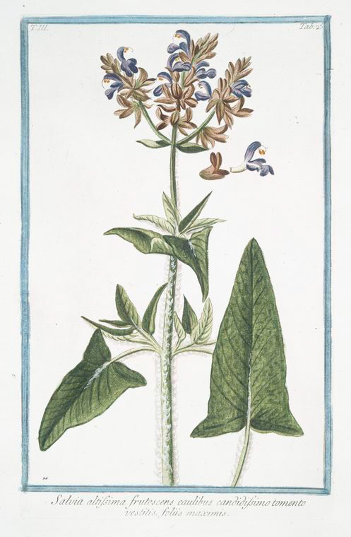 no HD illustration available (3)