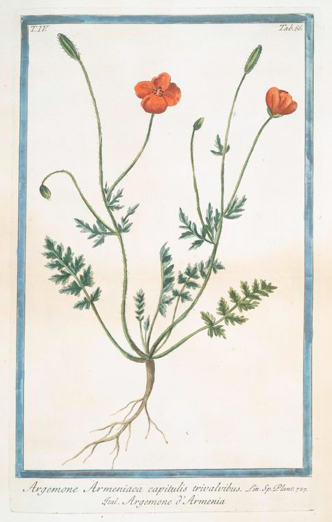 no HD illustration available (3)