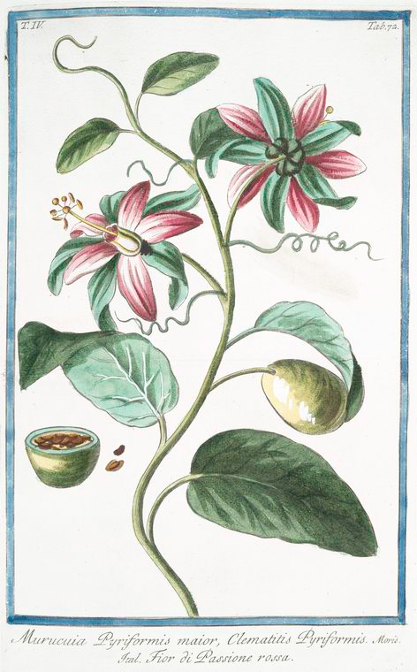 no HD illustration available (3)