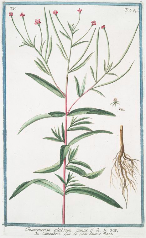 no HD illustration available (3)