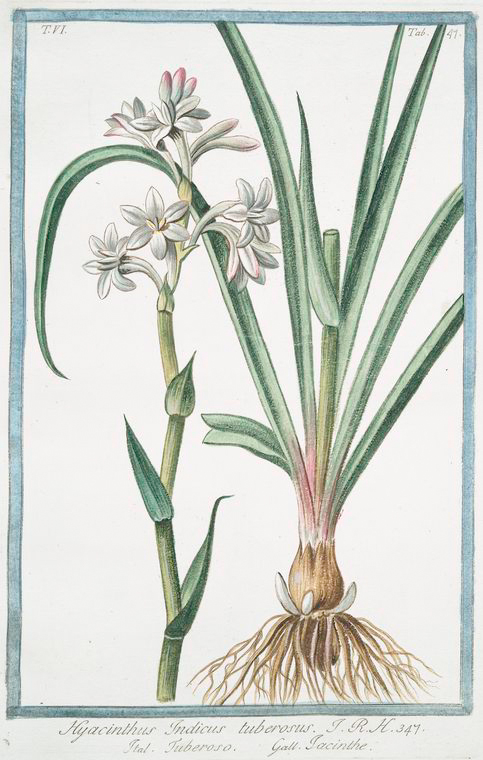 no HD illustration available (3)