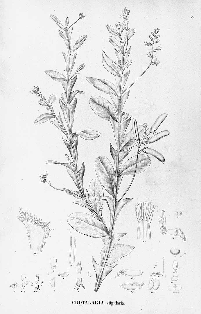 no HD illustration available (3)