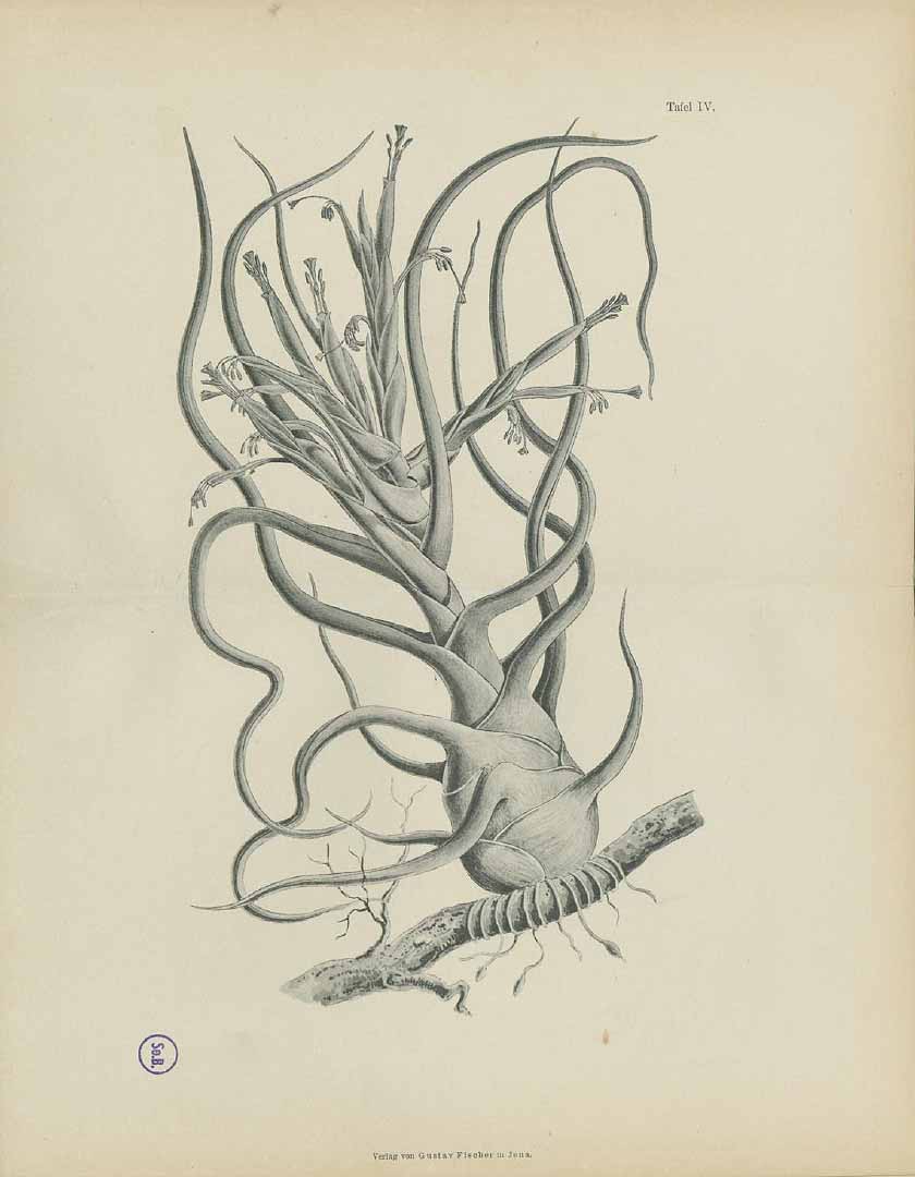 no HD illustration available (3)