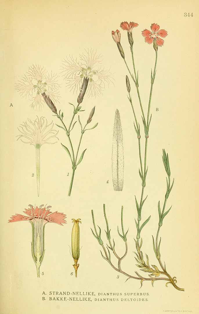 no HD illustration available (3)