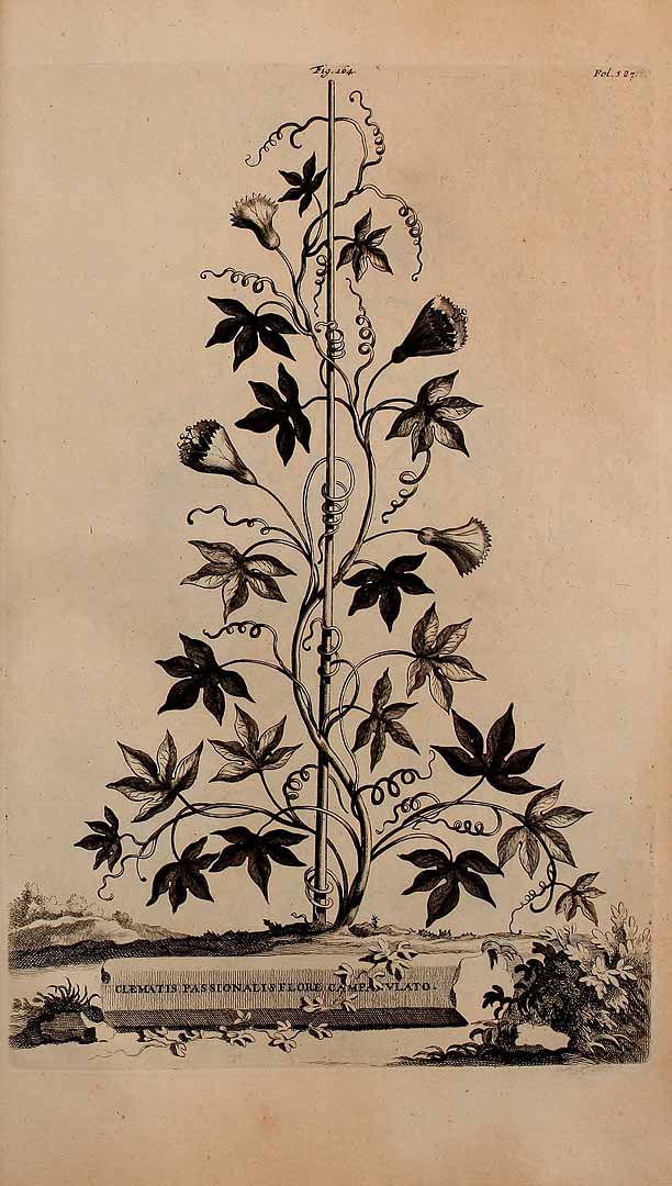 no HD illustration available (3)