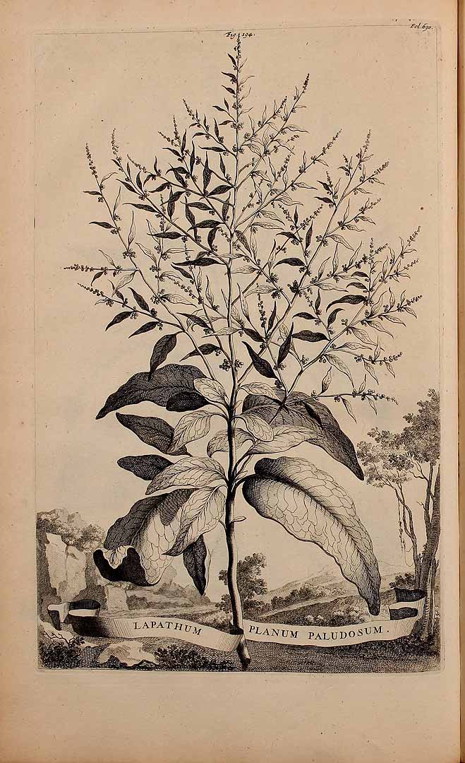 no HD illustration available (3)