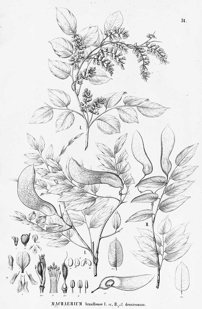 no HD illustration available (3)