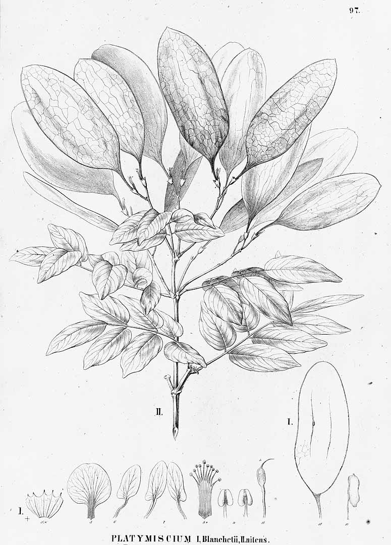 no HD illustration available (3)