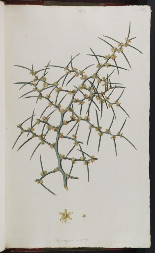 no HD illustration available (3)