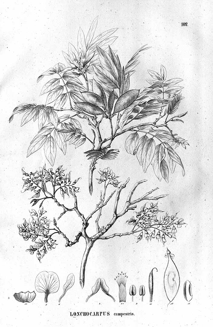 no HD illustration available (3)