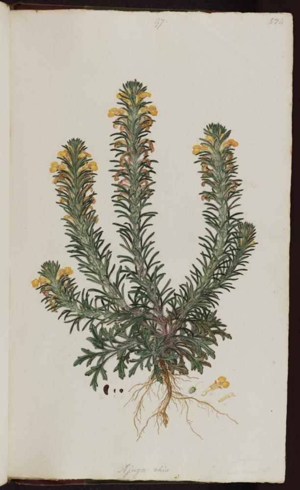 no HD illustration available (3)