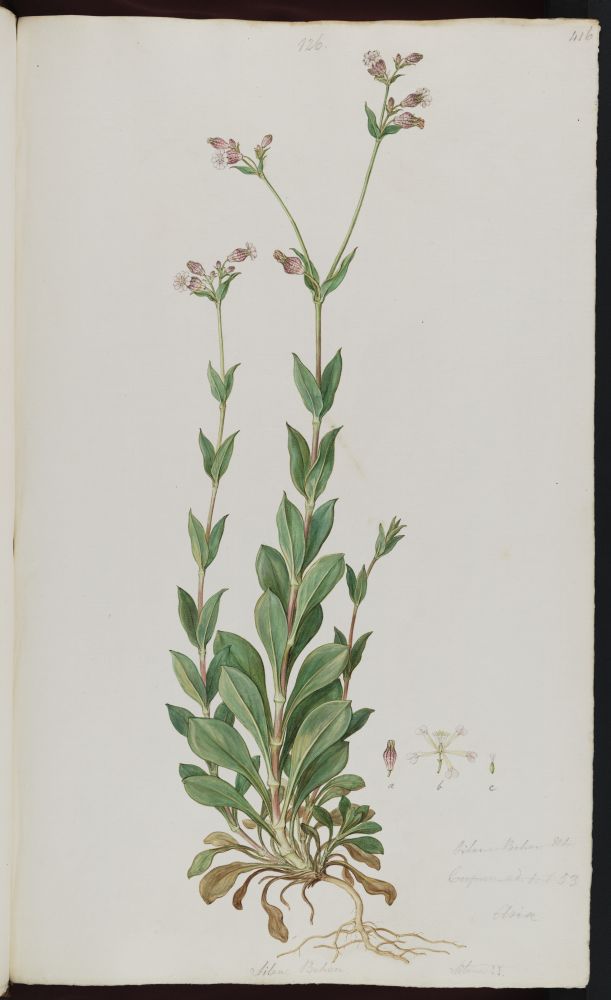 no HD illustration available (3)